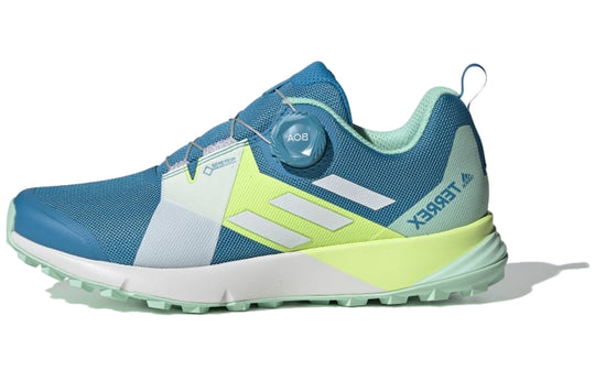 (WMNS) adidas Terrex Two Boa Gore-tex Trail Running 'Blue Green' F97638