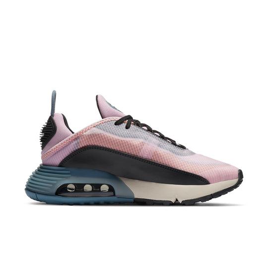 (WMNS) Nike Air Max 2090 'Light Arctic Pink' CT1876-600