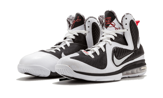 Nike LeBron 9 'Freegums' 469764-101