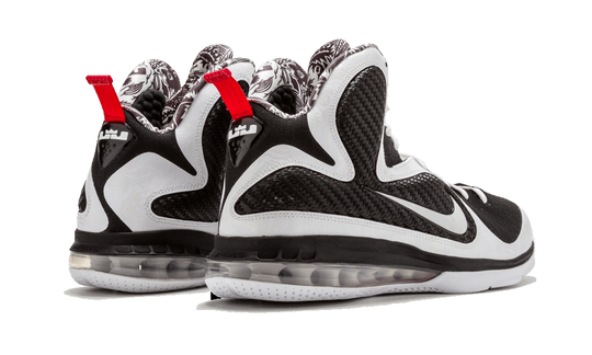 Nike LeBron 9 'Freegums' 469764-101