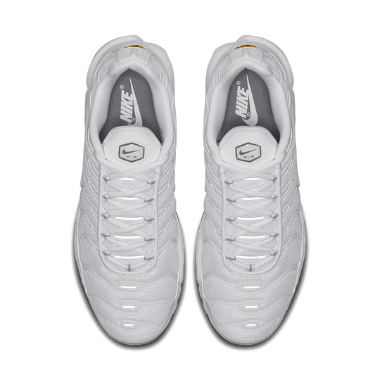 Nike Air Max Plus 'White' 604133-139