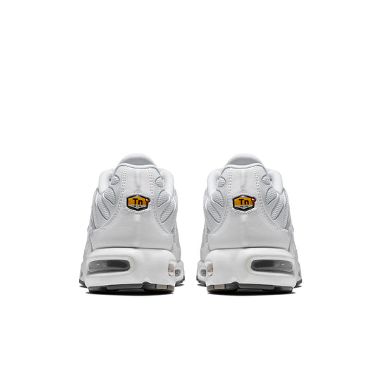 Nike Air Max Plus 'White' 604133-139