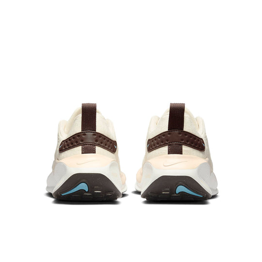 (WMNS) Nike React Infinity Run Flyknit 4 'Beige' FZ3655-113