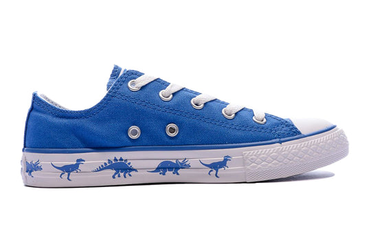 Converse Chuck Taylor All Star Canvas ShoesSneakers 'Blue White' 663670C