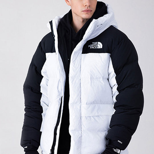 THE NORTH FACE ICON Nuptse Jacket 550 NF0A4QYX-FN4