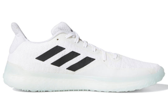 adidas FitBoost Trainer 'White Sky Tint' EE4585