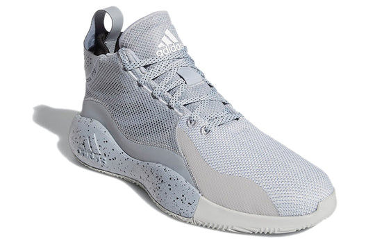 adidas D Rose 773 2020 'Halo Silver' FX2529