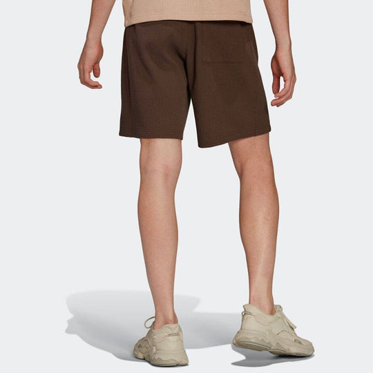 Men's adidas Printing Straight Shorts Brown HP0422 - KICKS CREW