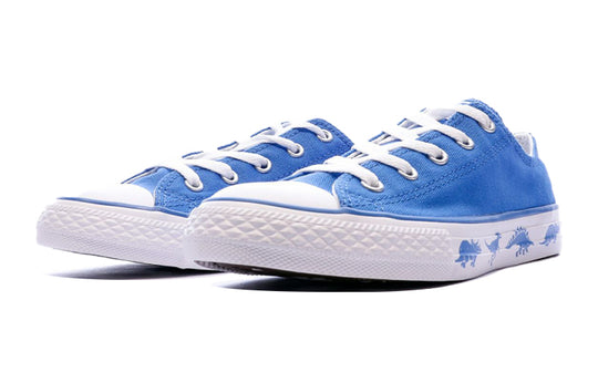 Converse Chuck Taylor All Star Canvas ShoesSneakers 'Blue White' 663670C