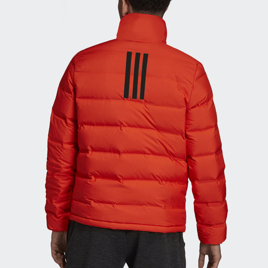 adidas Outdoor waterproof Sports Stay Warm Stand Collar Down Jacket Orange DZ1448