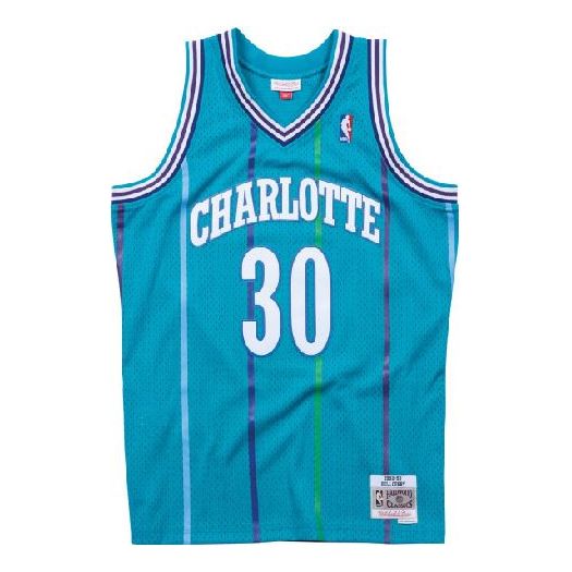 Mitchell & Ness NBA Swingman Jersey Charlotte Hornets Road 1992-93 Dell Curry SMJYGS18146-CHOTEAL92DCU