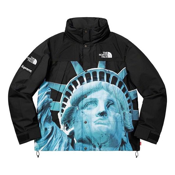 Supreme FW19 Week 10 x The North Face Statue of Liberty Mountain Jacke