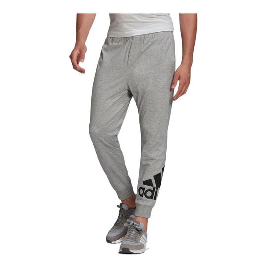 Men's adidas Pants Large Logo Sports Pants/Trousers/Joggers Gray HE182 ...