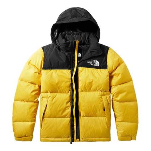 THE NORTH FACE 1996 Nuptse 700 4NCH-70M