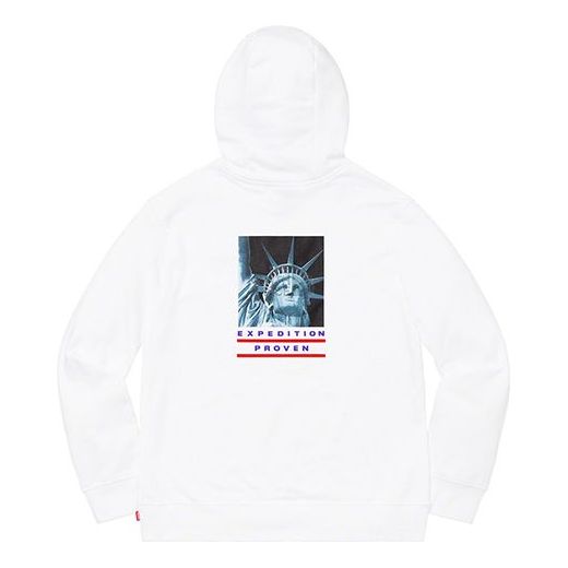 Supreme FW19 Week 10 x The North Face Statue of Liberty Hooded Sweatsh